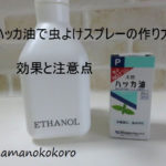 ハッカ油虫よけスプレーの作り方と効果&知っておきたい注意点!